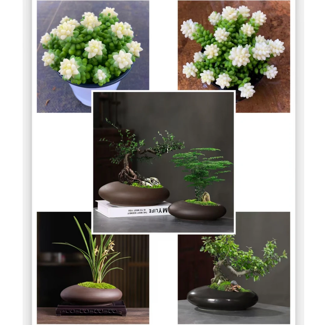 3.居家日用百货摆件101-150