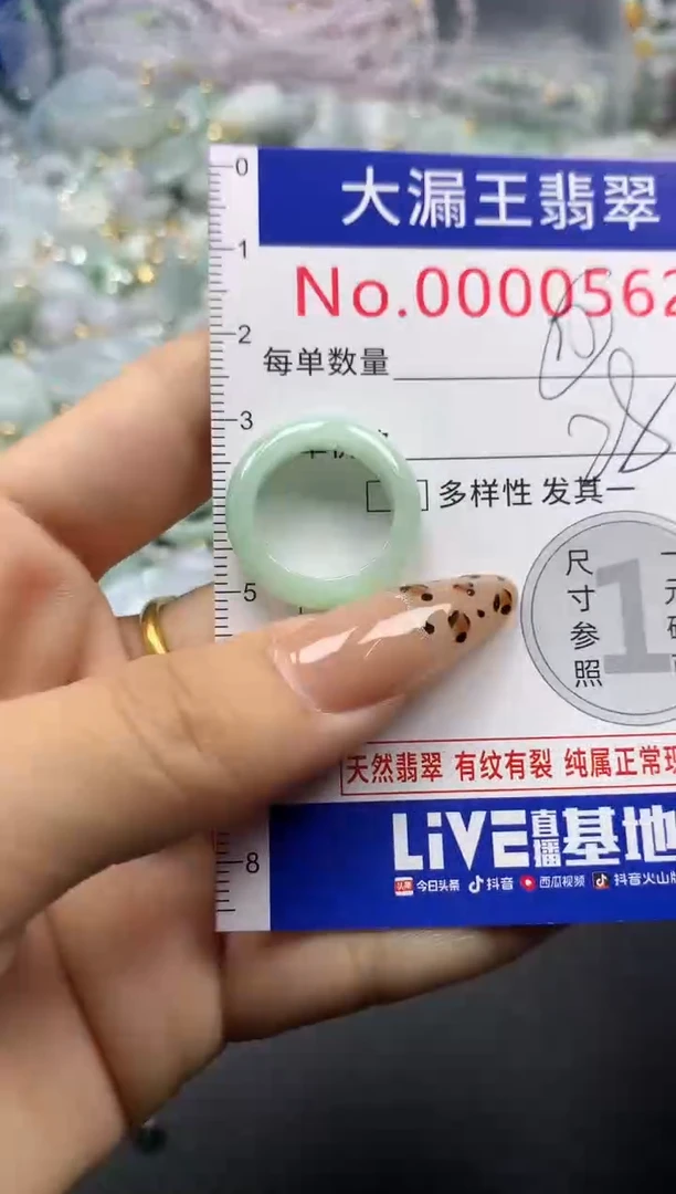 翡翠未镶嵌吊坠(不含链)562