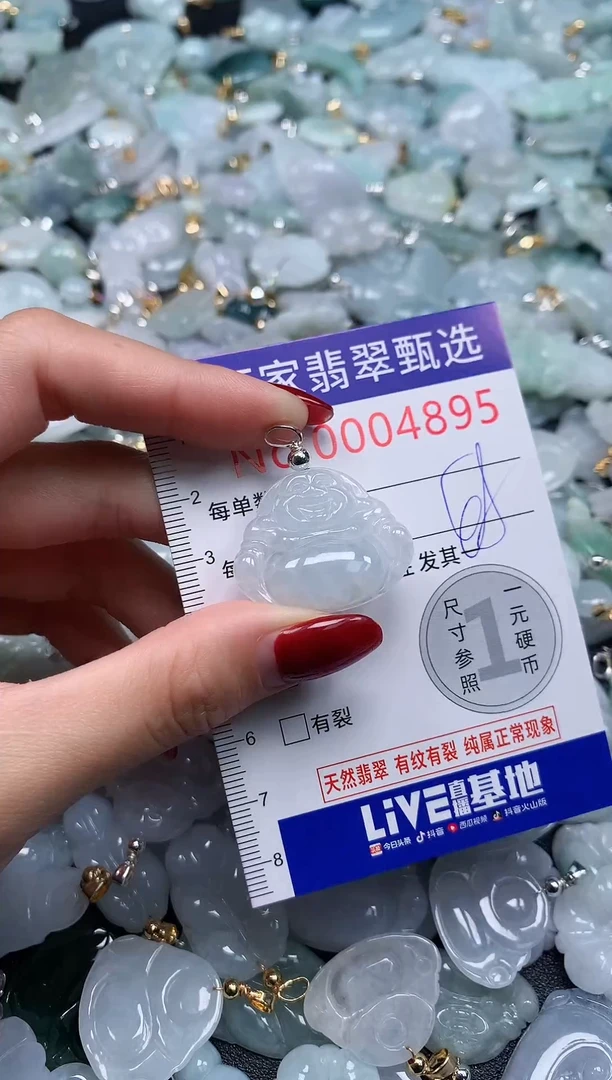 颈饰未镶嵌翡翠4895