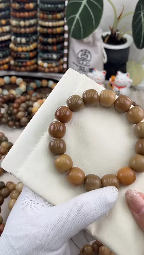 菩提根/象牙果手串a497卡16 干磨老料