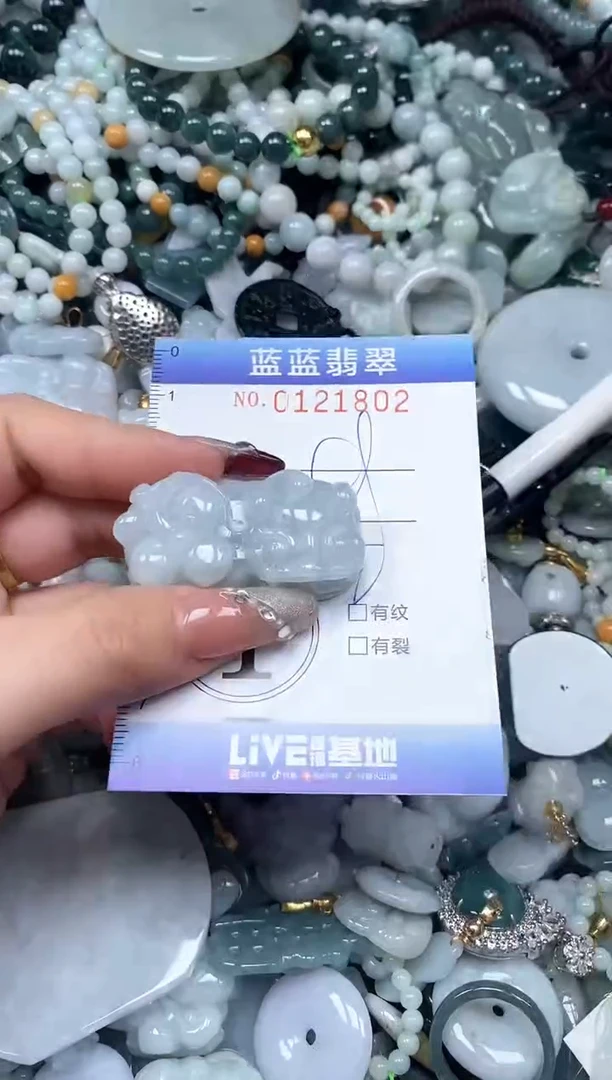 【闪购商品】翡翠颈饰未镶嵌闪购0121802