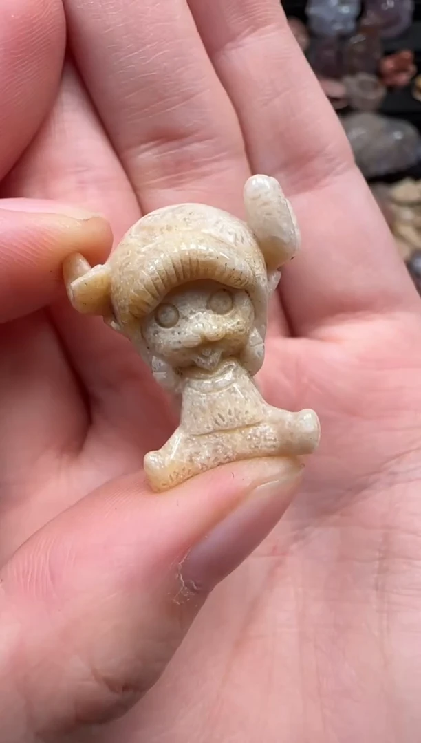 颈饰未镶嵌硅化珊瑚（珊瑚玉）044