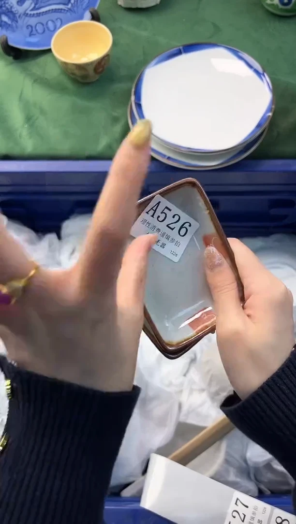 【闪购商品】瓷片          A526