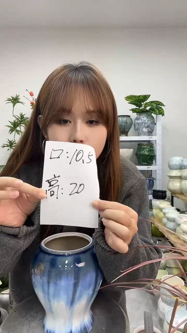 11.22陶瓷花盆直播链接高.      口
