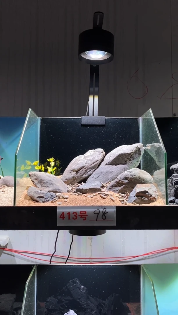 413号鱼缸造景(不含底砂）