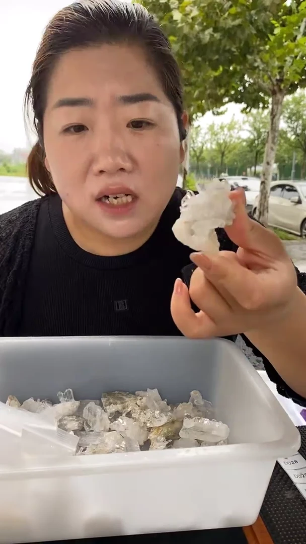 未镶嵌珠宝半成品水晶喜马拉雅D24多样性发其一25-30g