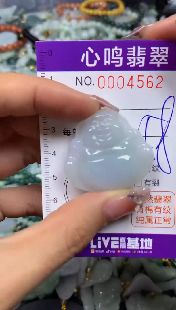 【闪购商品】翡翠颈饰未镶嵌闪购004562