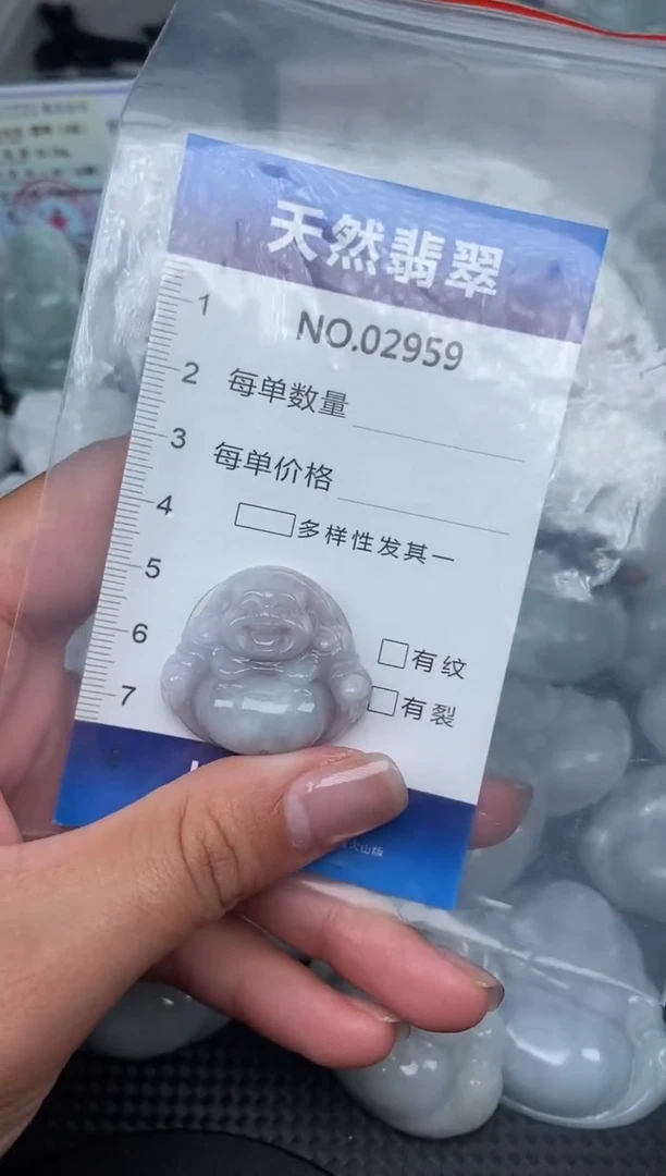 颈饰未镶嵌翡翠纯天然A货翡翠2959