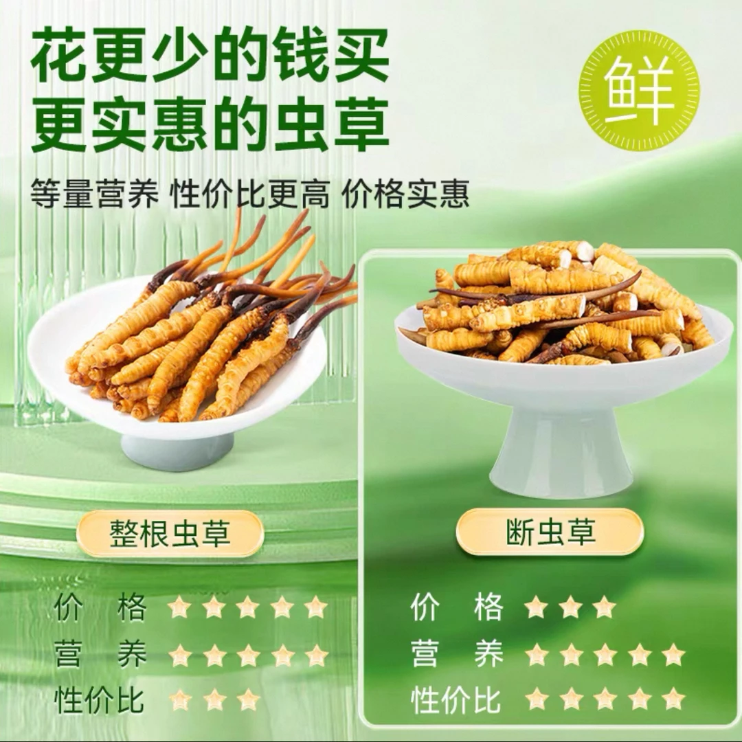 （鲜断草）2025年头期头茬新鲜冬虫夏草性价比高送礼鲜草鲜断草