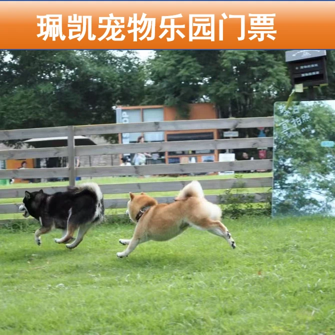 珮凯宠物乐园门票