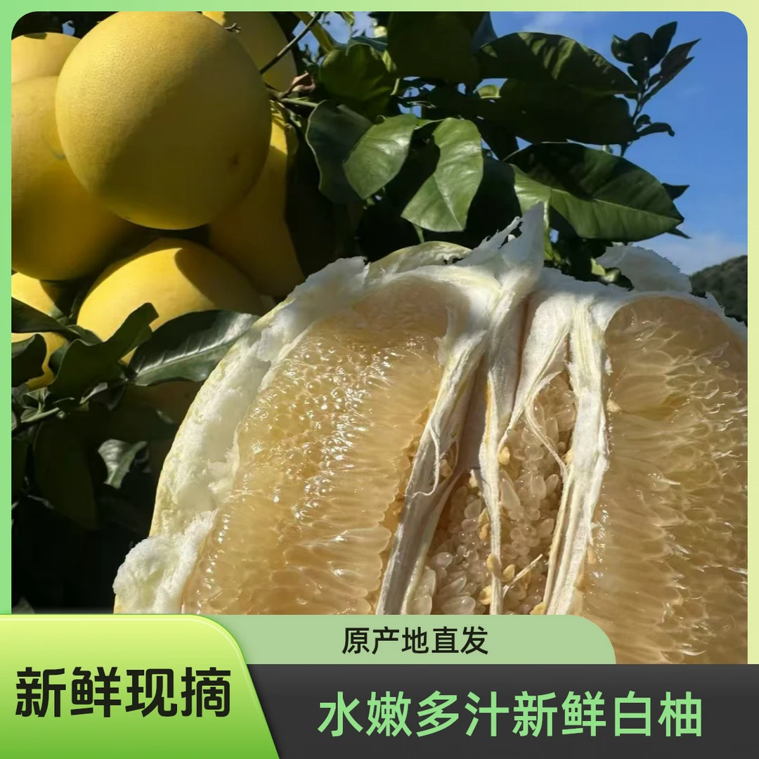 【5斤】正宗贵州荔波白心蜜柚当季新鲜水嫩多汁水果产地直发