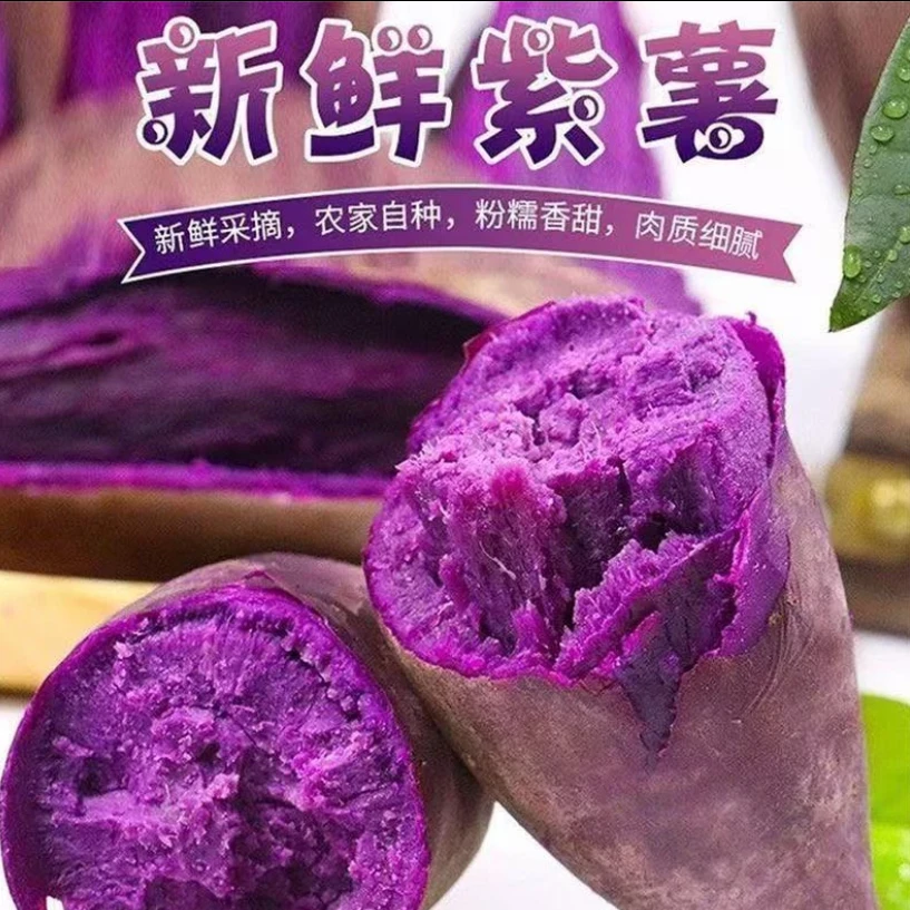 沙地紫薯新鲜现挖坏果包赔粉糯香甜健康粗粮早餐薯宝宝辅食