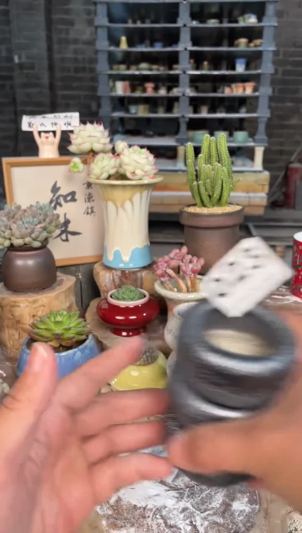 瓷片023福利小芳直播编号