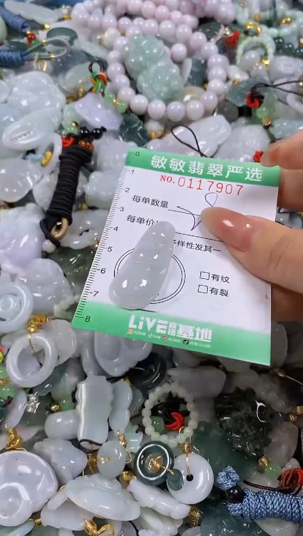 【闪购商品】翡翠颈饰未镶嵌闪购0117907