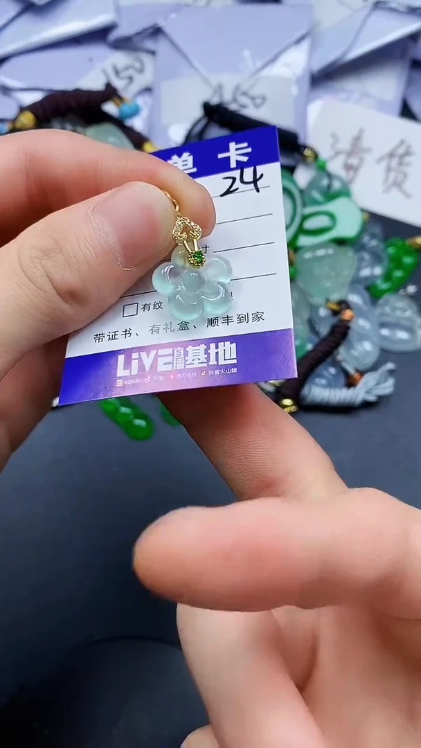 所见即所得/一物一图(加扣头)24