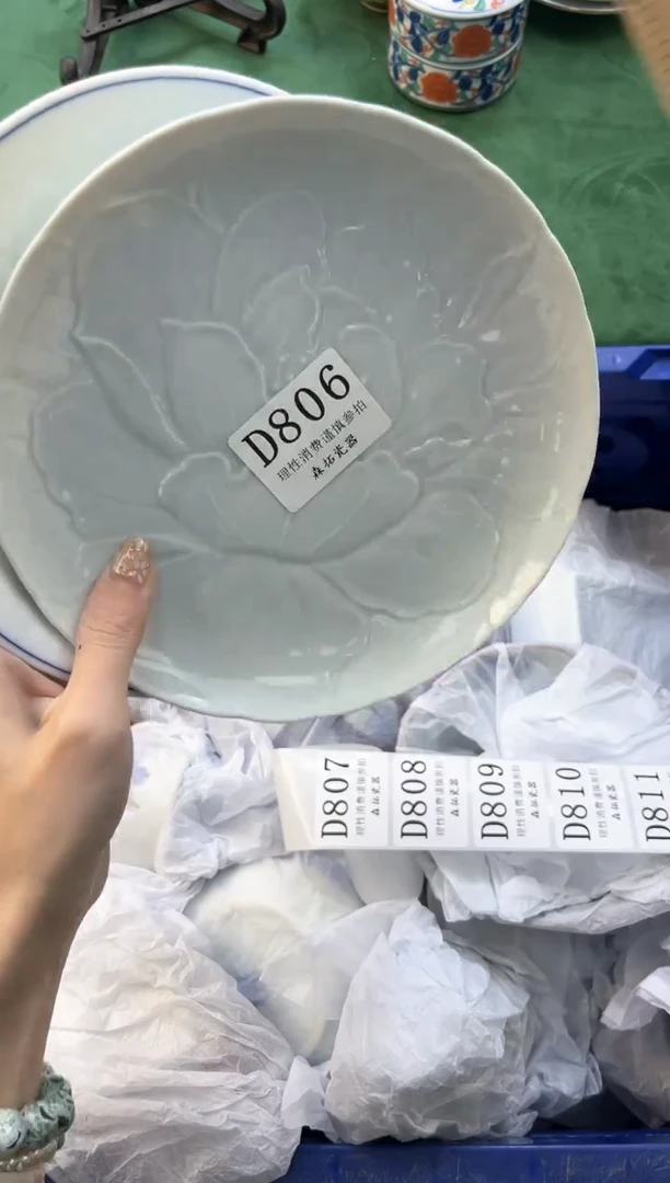 【闪购商品】瓷片          D806