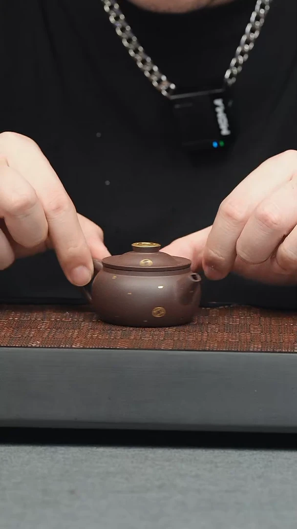 茶壶紫砂五堂 金宝轮