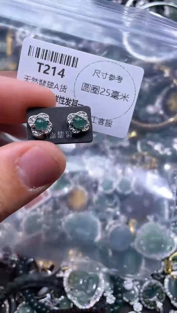 【闪购商品】翡翠颈饰未镶嵌T214耳钉