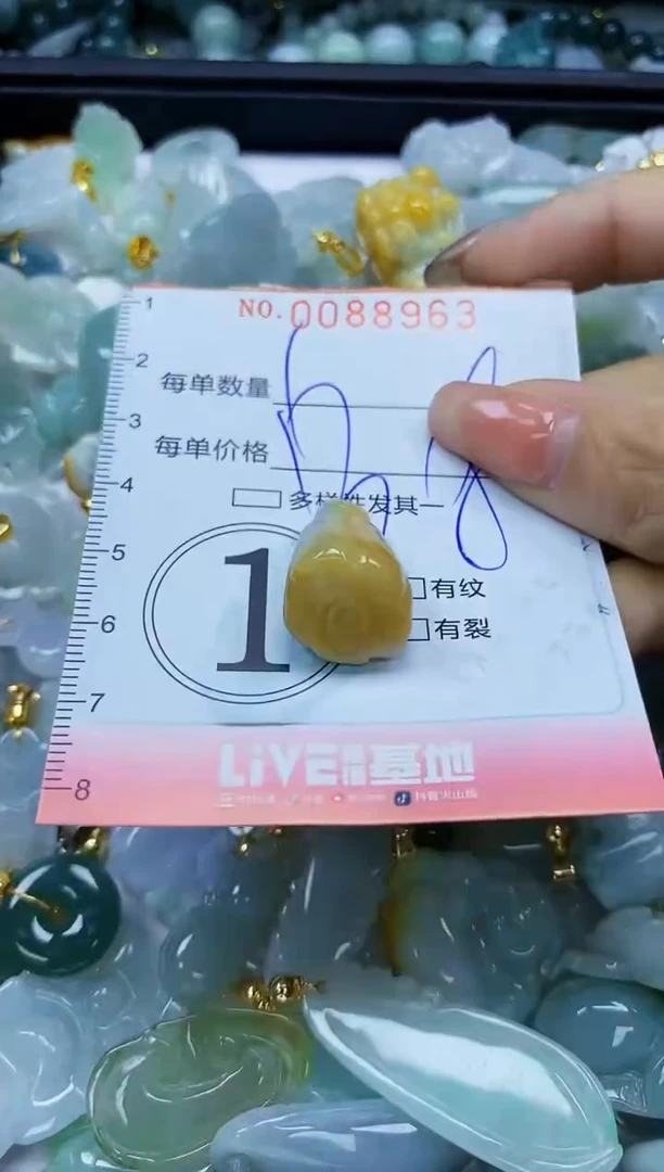 【闪购商品】翡翠颈饰未镶嵌闪购0088963