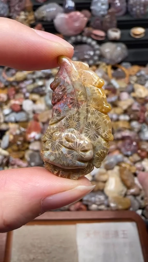 颈饰未镶嵌硅化珊瑚（珊瑚玉）234