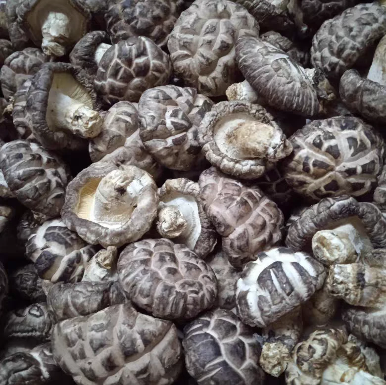 【小野干货】花菇花蘑菇新鲜干货清甜美味炖鸡汤煲汤菌菇组合汤