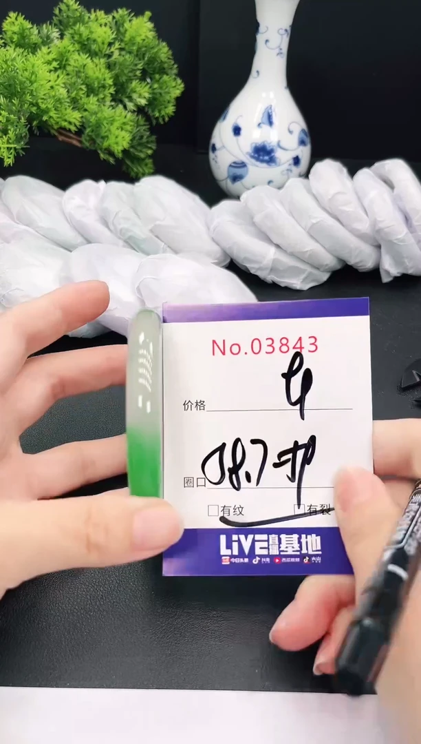 未镶嵌手镯翡翠3843