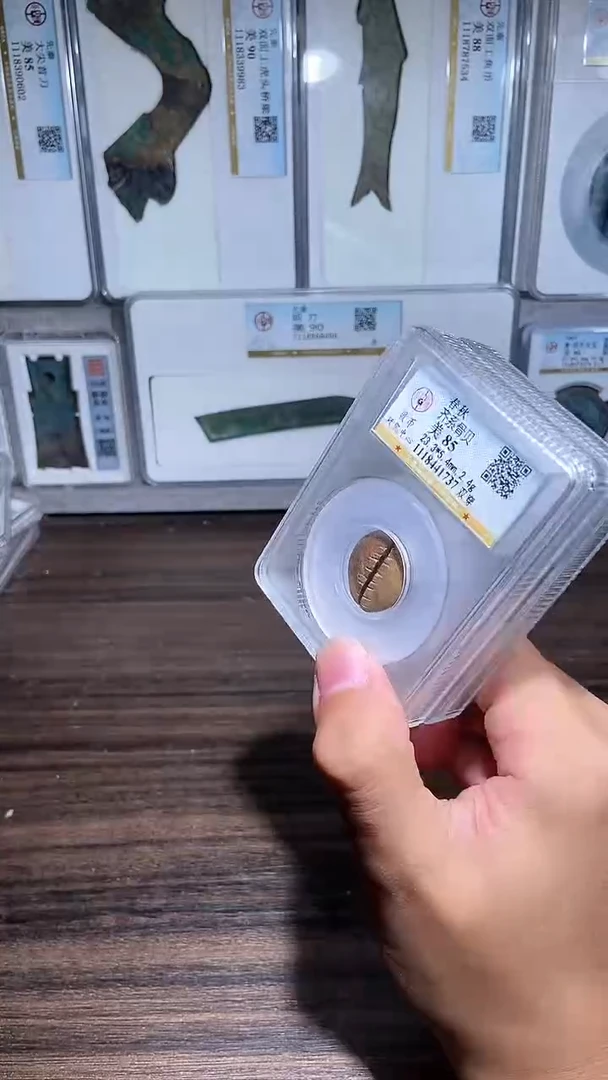 铜历代 骨贝骨贝一枚