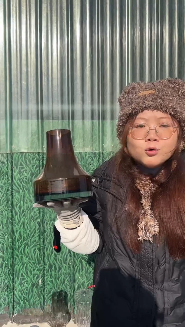 水养鲜花干花插花客厅装饰品