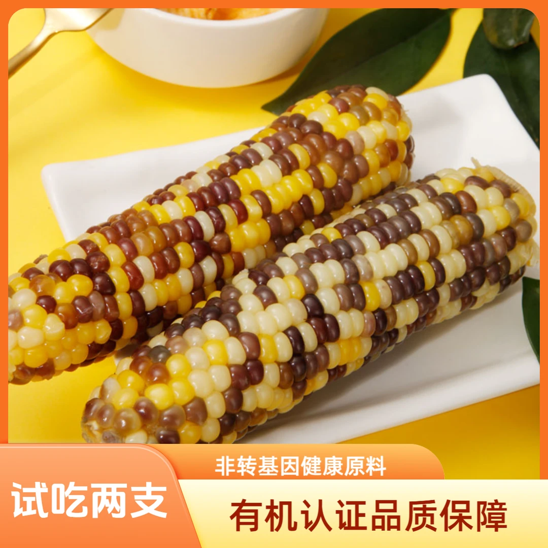 天勤粒粒净有机彩劲糯玉米真空头茬口感好230g*8 3.68斤