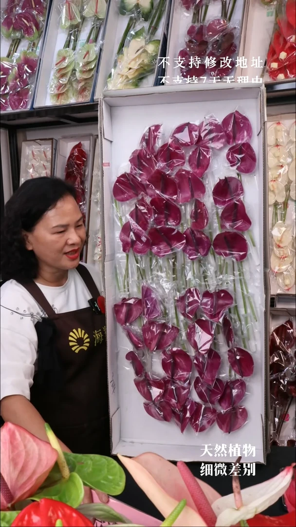 马拉维利亚 40支 微瑕无售后