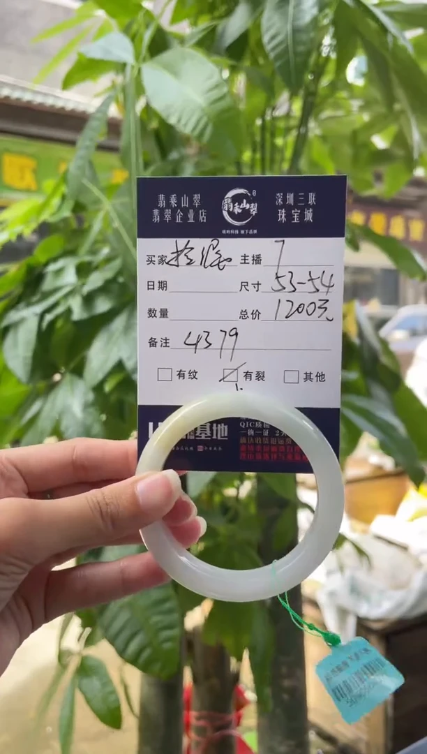 未镶嵌手镯翡翠Q 53正圈 4379