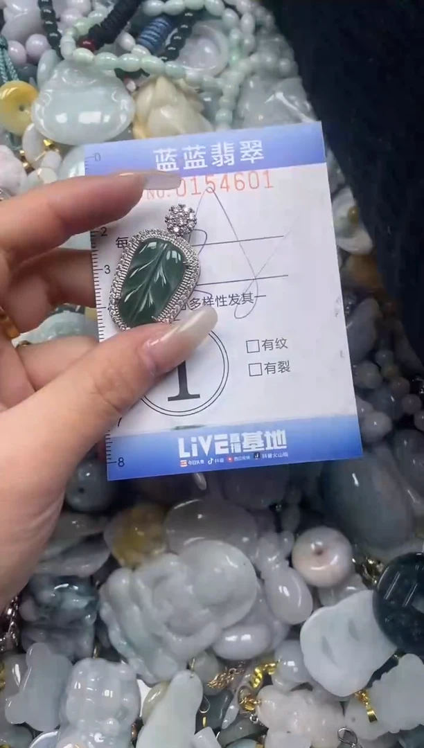 【闪购商品】翡翠颈饰未镶嵌闪购0154601