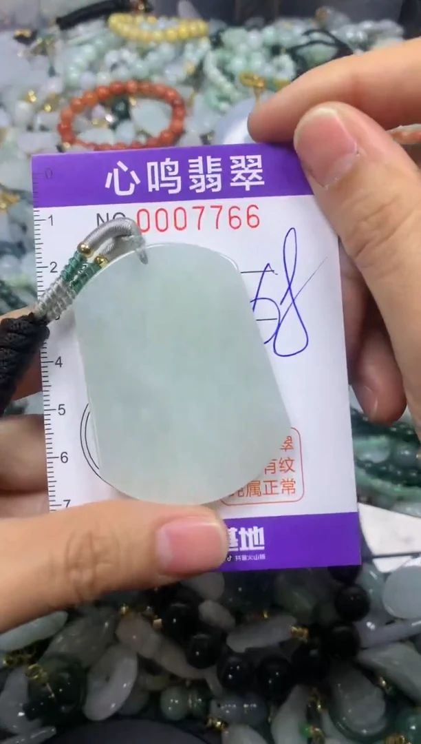 【闪购商品】翡翠颈饰未镶嵌闪购007766