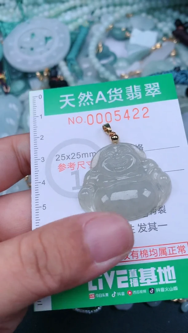 翡翠未镶嵌颈饰.0005422