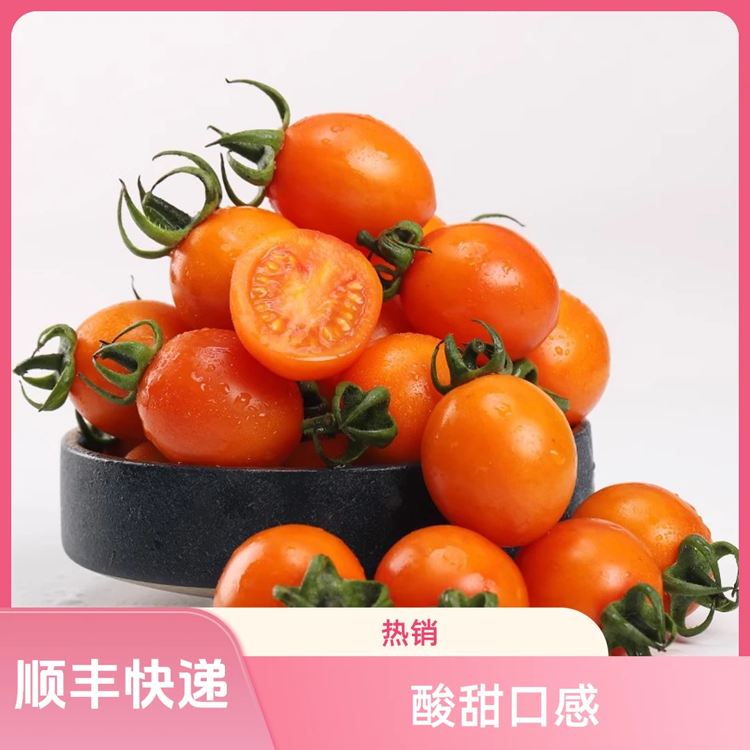 盐碱地黄色圣女果夏日阳光新鲜小番茄自然熟多汁千禧应季新鲜水果