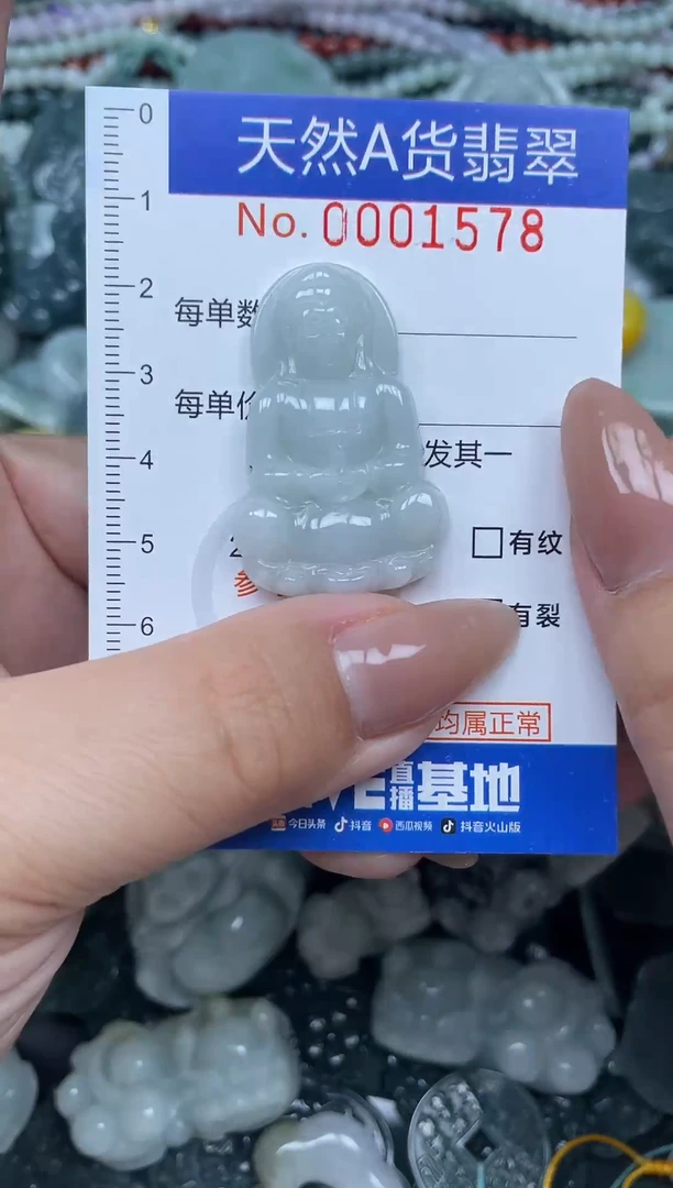 颈饰未镶嵌翡翠天然A货 支持复检