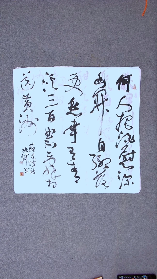 书法施辉 江西新余69*69四平尺