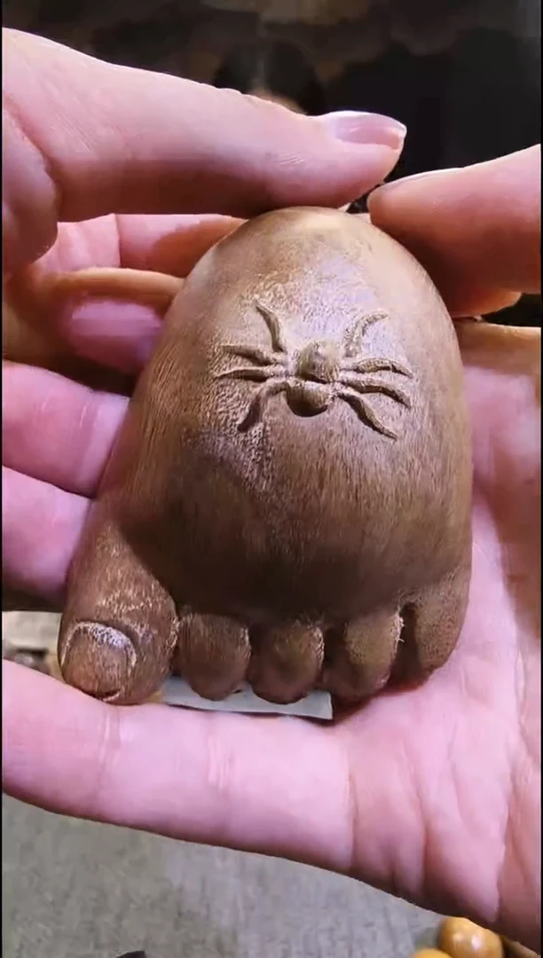 金丝      楠知足常乐