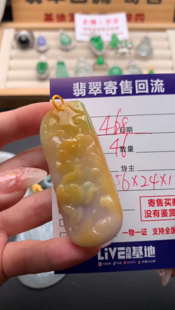 翡翠未镶嵌颈饰10134523