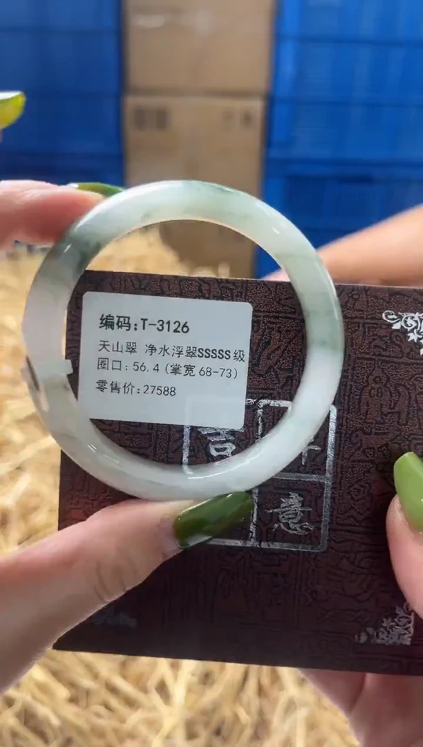 未镶嵌手镯石英质玉T3126