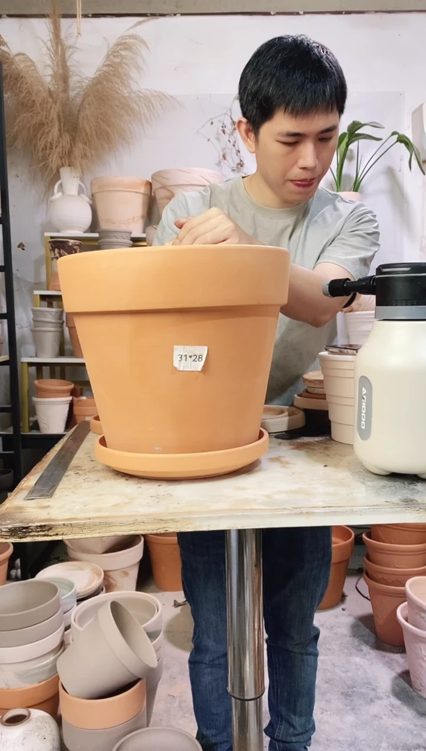 30*27红陶国际 1盆无托