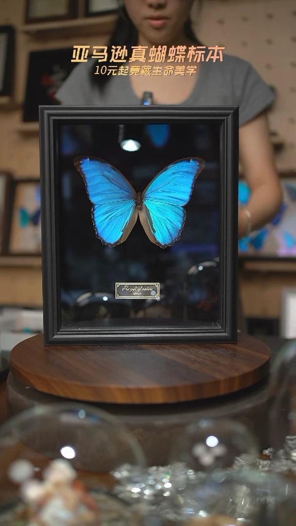 仰****光蝴蝶标本摆件a41