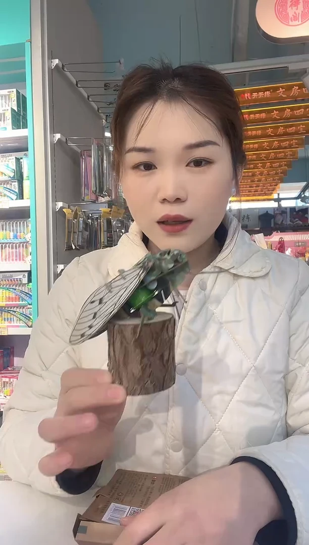 木木质蝉模型拼装