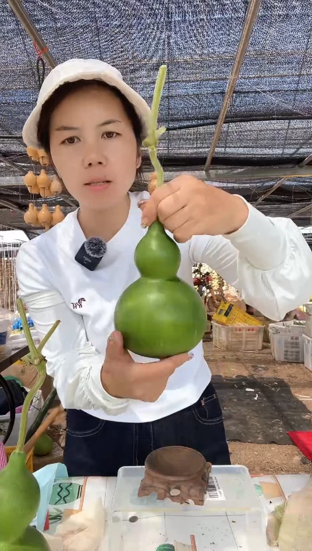 648天然葫芦摆件 一物一拍龙头不保售后