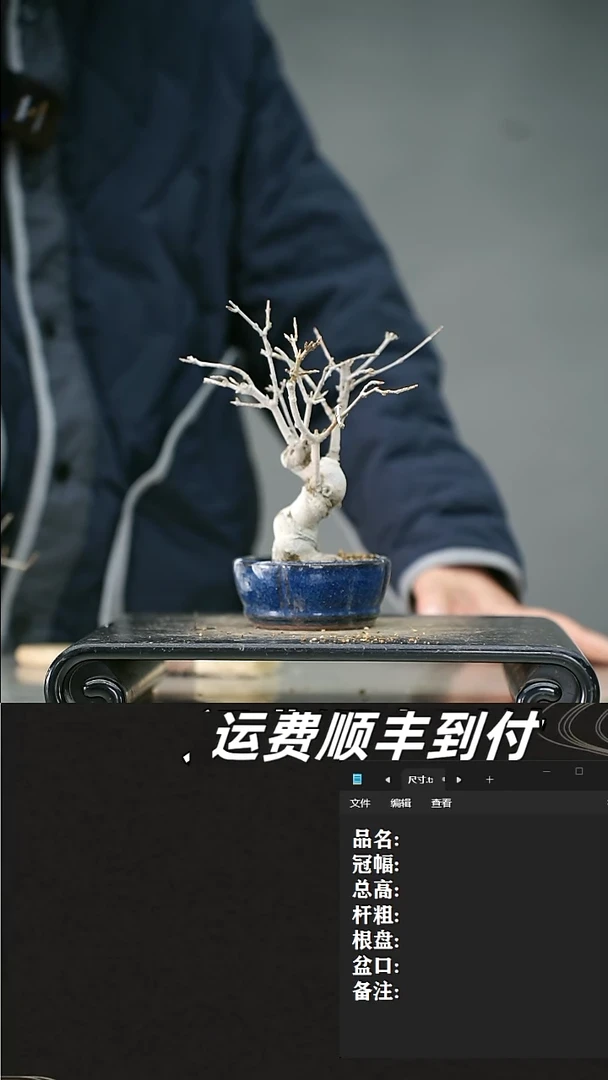 【闪购商品】98唐风