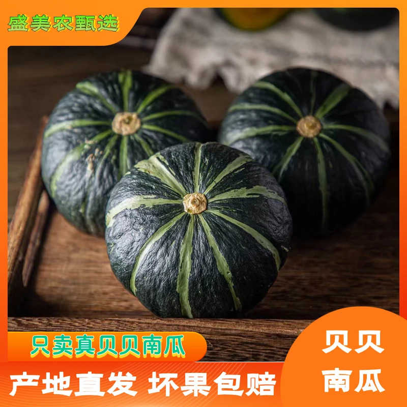 【盛美农甄选】正宗贝贝南瓜 板栗味小南瓜 严选新鲜 宝宝辅食 优质
