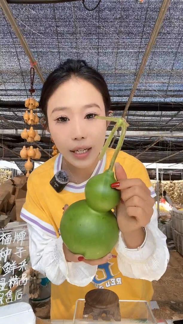 046天然葫芦摆件 一物一拍龙头不保售后微瑕疵