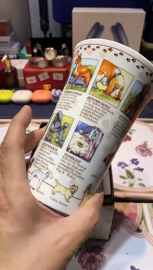 瓷片11111111111@@1