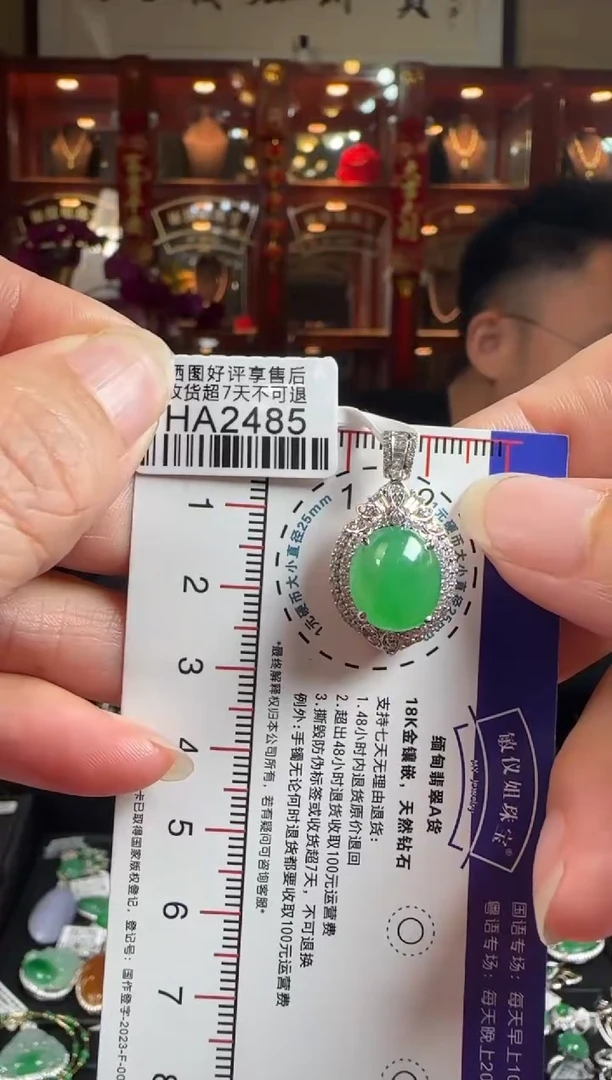 【闪购商品】翡翠颈饰18K金镶嵌HA2485 冰绿蛋面