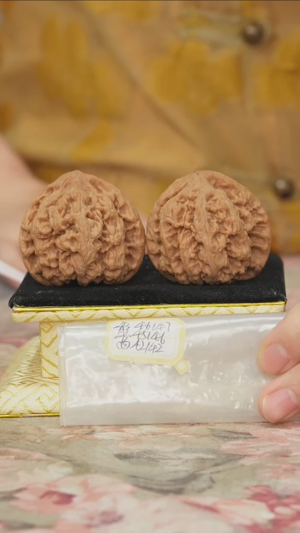 把件文玩核桃非嫁接大粗筋